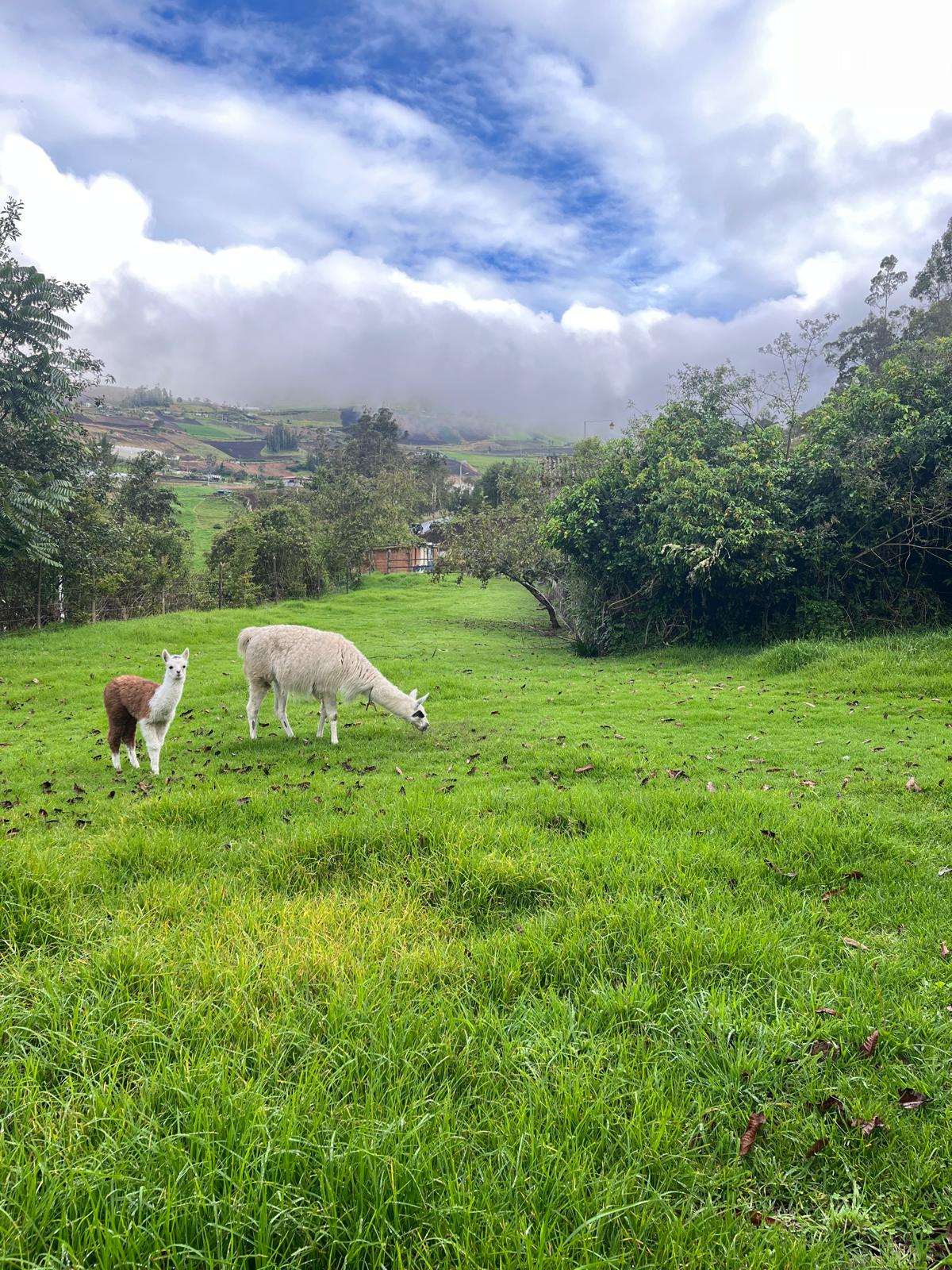 Paisaje de Quito