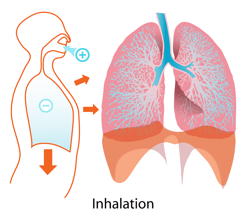 Beneficios de la respiración diafragmática